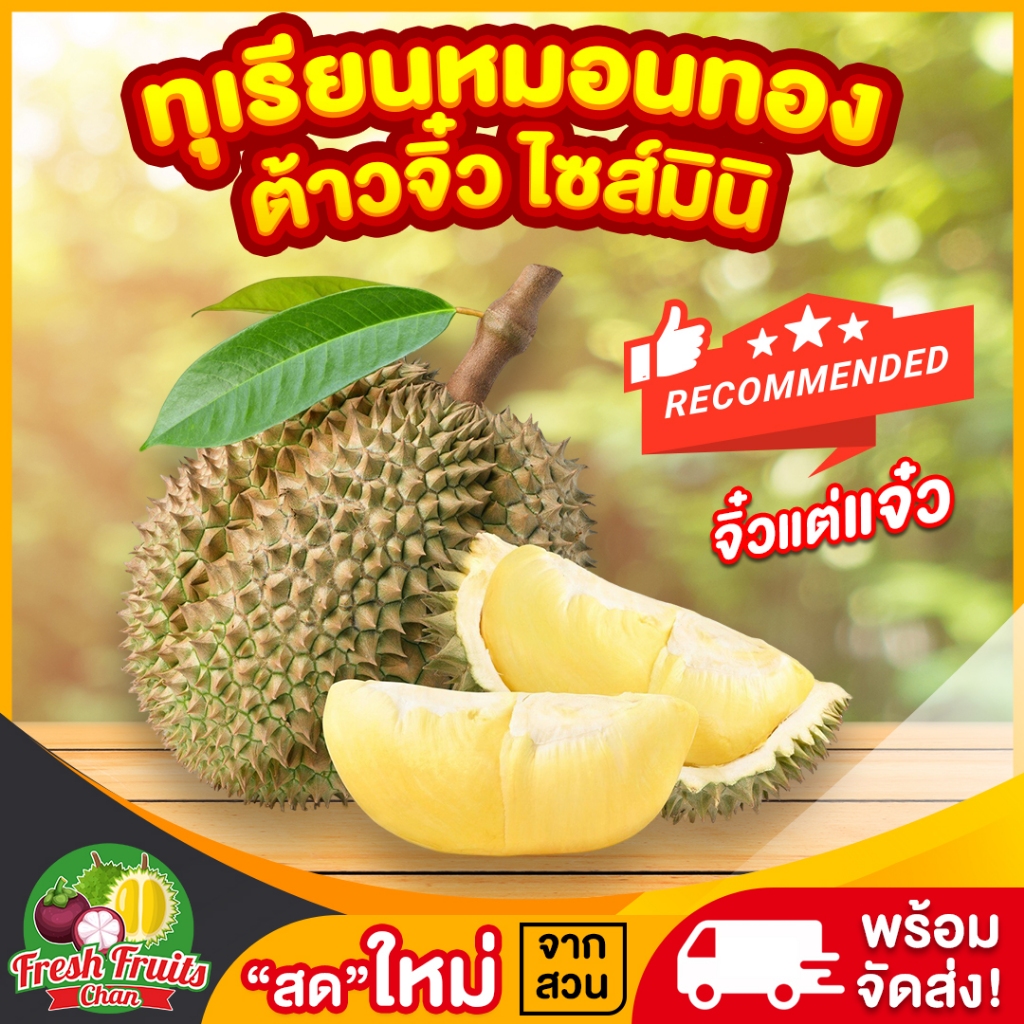 💥ทุเรียนจันท์👍🏻หมอนทองมินิ ขนาด8ขีด-1.9กก.✅