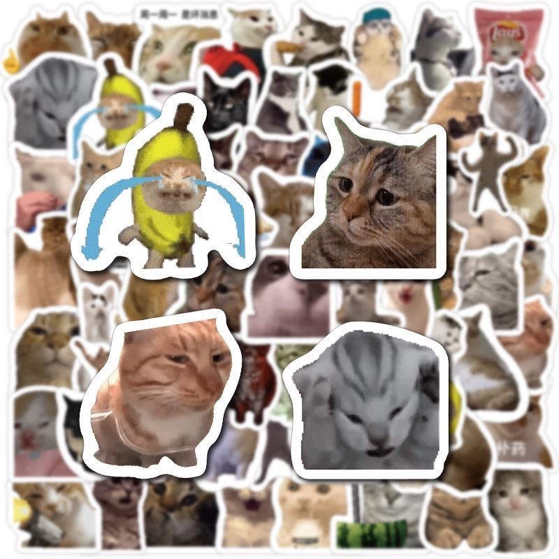 พร้อมส่ง สติกเกอร์มีมแมว มีมแมวตลก Funny cat meme sticker ไว้แปะเคส สมุด กระเป่า สติกเกอร์ตลก 52018 ราคา ถูกที่สุด ดีลบีเคเค