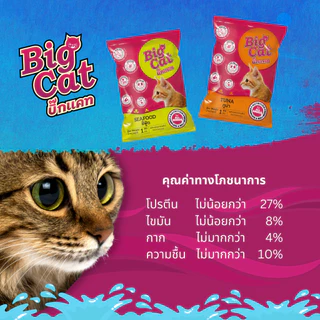 บิ๊กแคท (1กก) BIG CAT อาหารแมวโตโภชนาการครบถ้วน ไม่เค็ม