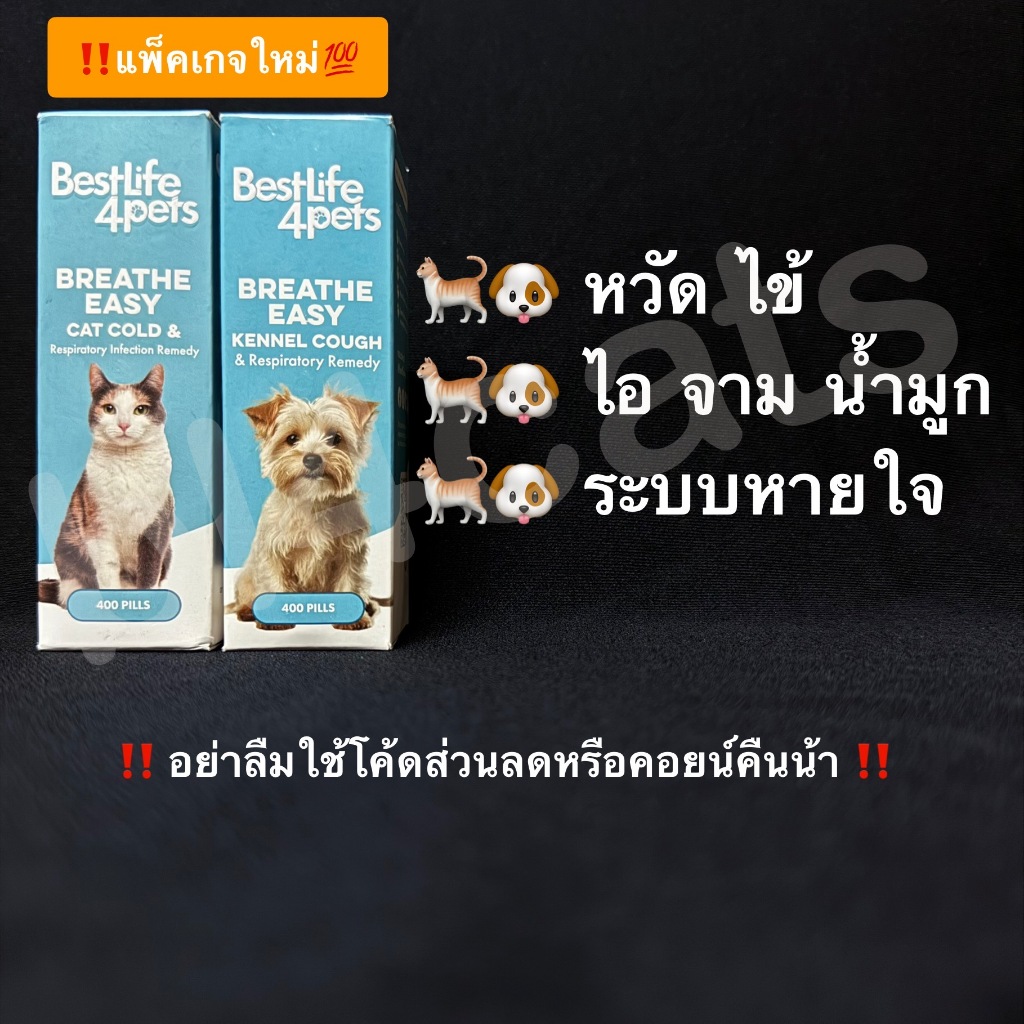 อาหารเสริม วิตามิน หวัดแมว แมวเป็นหวัด แมวน้ำมูกไหล ไข้ ไอ หายใจดัง Breathe Easy for Cats