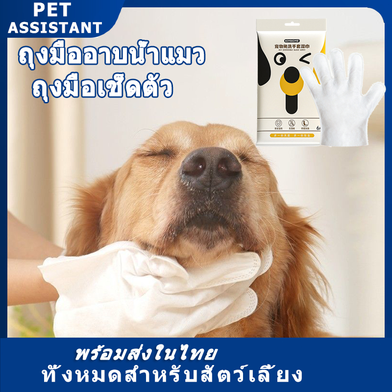 Pet Assistant 🐾ถุงมือสัตว์เลี้ยงแบบใช้แล้วทิ้ง ถุงมือสปา ถุงมืออาบน้ำแมว สุนัข ไม่ระคายเคืองผิว 6pcs🐾
