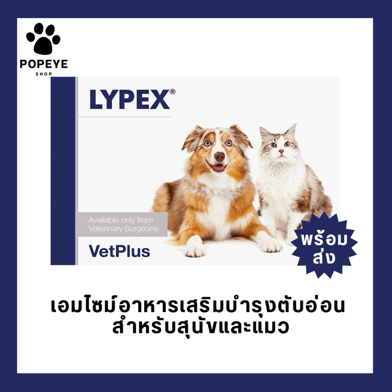 Lypex vetplus พร้อมส่งจากไทย ถูกมาก ส่งไว แท้ เอนไซม์ช่วยย่อยอาหารสำหรับสุนัขและแมว หมดอายุ01/2027