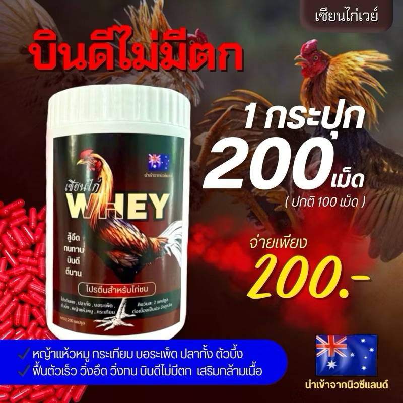 เวย์โปรตีนไก่ เพิ่มกล้ามเนื้อไก่ บินดี หน้าแดงแรงไม่ตก