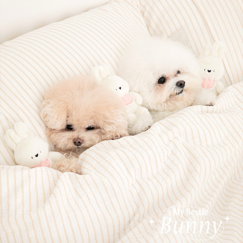 VELKYBARK [พร้อมส่ง] SSFW ของเล่นสัตว์เลี้ยง ของเล่นสุนัข นำเข้าจากเกาหลี มีเสียงปี้บๆ เสียงกรอบแกรบ - รูปที่ 5