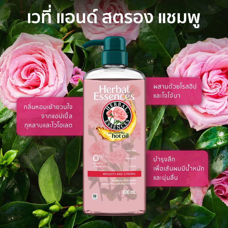 รูปภาพ 4