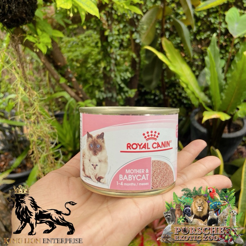 Royal Canin Starter Mother & Baby Cat Can Tray