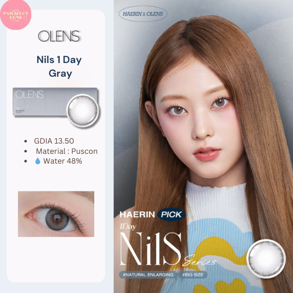 Olens - Nils gray 1 day เลนส์รายวัน สีเทา