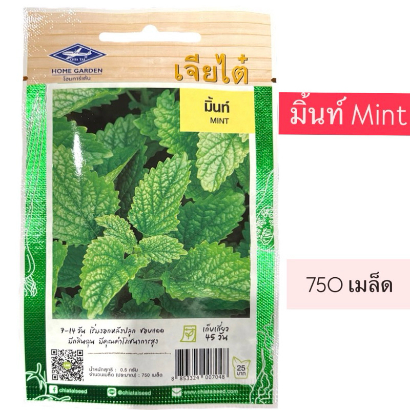 เจียไต๋ มิ้นท์ ประมาณ 750 เมล็ด ราคาถูก Shopee Lazada