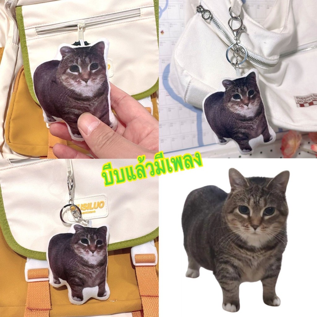 พร้อมส่ง🎼พวงกุญแจ มีมแมว แมวอุอิอา มีเสียง OIIA cat plushy keychain spining cat พวงกุญแจมีเสียง 4619