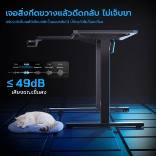 Xpanse โต๊ะปรับระดับไฟฟ้า โต๊ะเกมมิ่ง L โต๊ะตัวแอล พื้นที่ขนาดใหญ่ รองรับ 2 หน้าจอ พื้นผิวคาร์บอนไฟเบอร์ โต๊ะคอมตัว L