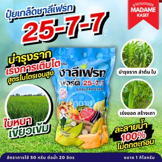 ยกลัง x25 กิโลกรัม**จำกัดออเดอร์ละ1ลัง** | ชาลีเฟรท 25-7-7 เร่งการเจริญเติบโต เร่งเขียว เร่งงาม ฟื้นฟูลำต้นหลังเก็บเกี่ย
