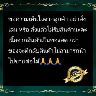 ✅หมากพลู สำหรับไหว้เจ้าที่และสิ่งศักดิ์สิทธิ์ต่างๆ