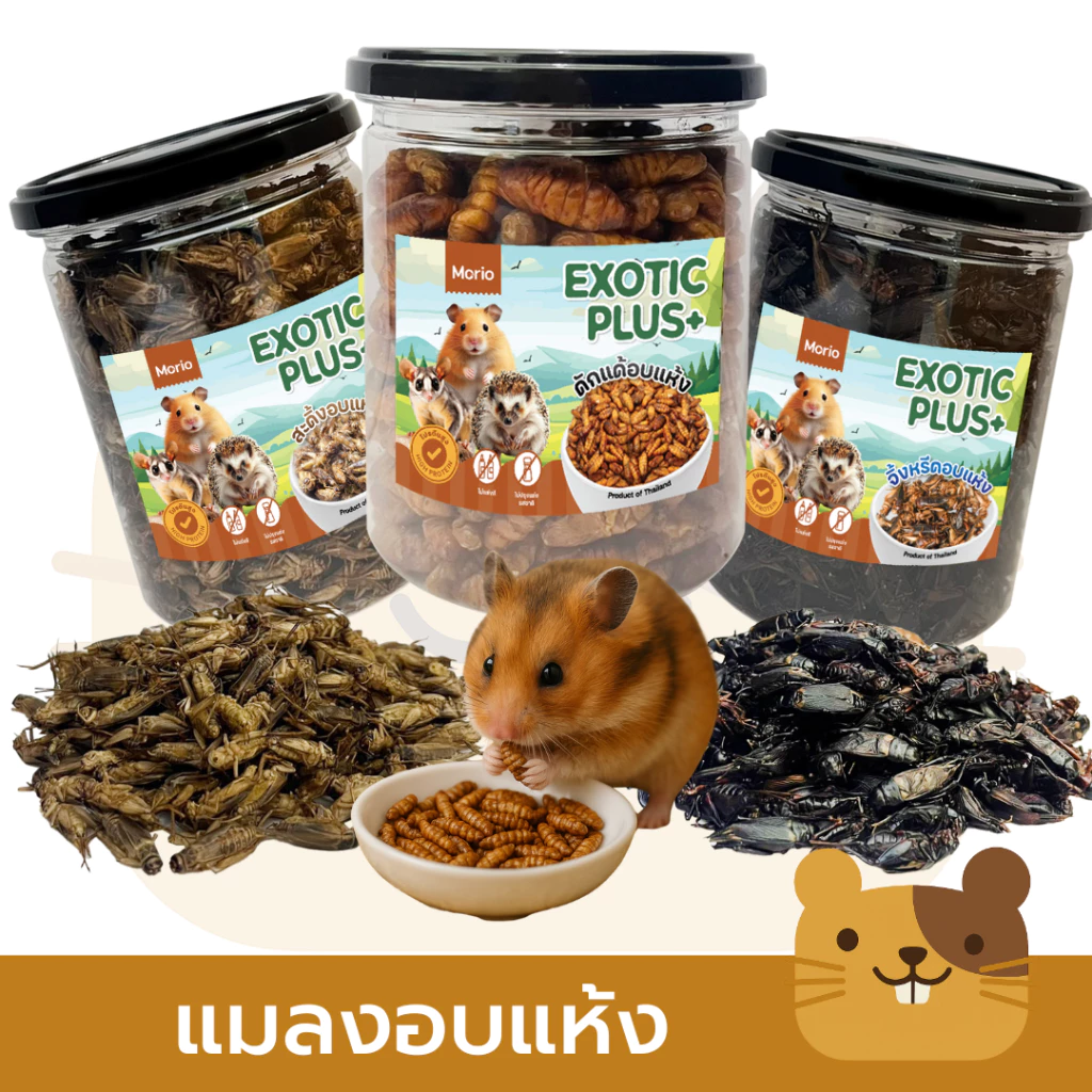 Morio แมลงอบแห้ง 480ml (ดักแด้ จิ้งหรีด สะดิ้ง) โปรตีนสูง สำหรับแฮมเตอร์ ชูการ์ไกลเดอร์ เม่นแคระ นก ปลา กระรอก ลิง