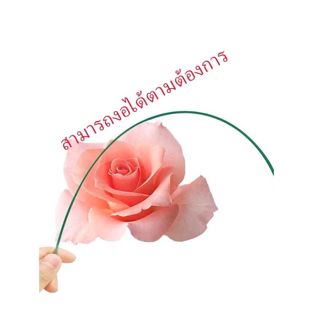 ก้านดอกสีเขียว ยาว 30 ซม. พวงละ 20 ก้าน - รูปที่ 4