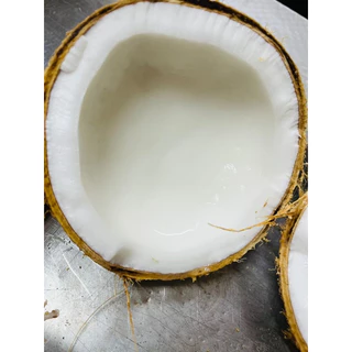 มะพร้าวทึนทึกอ่อน สำหรับทำขนม 🥥 🌴บางสะพาน-ทับสะแก (1-1.5 กิโลกรัม/ลูก) สดใหม่จากสวน