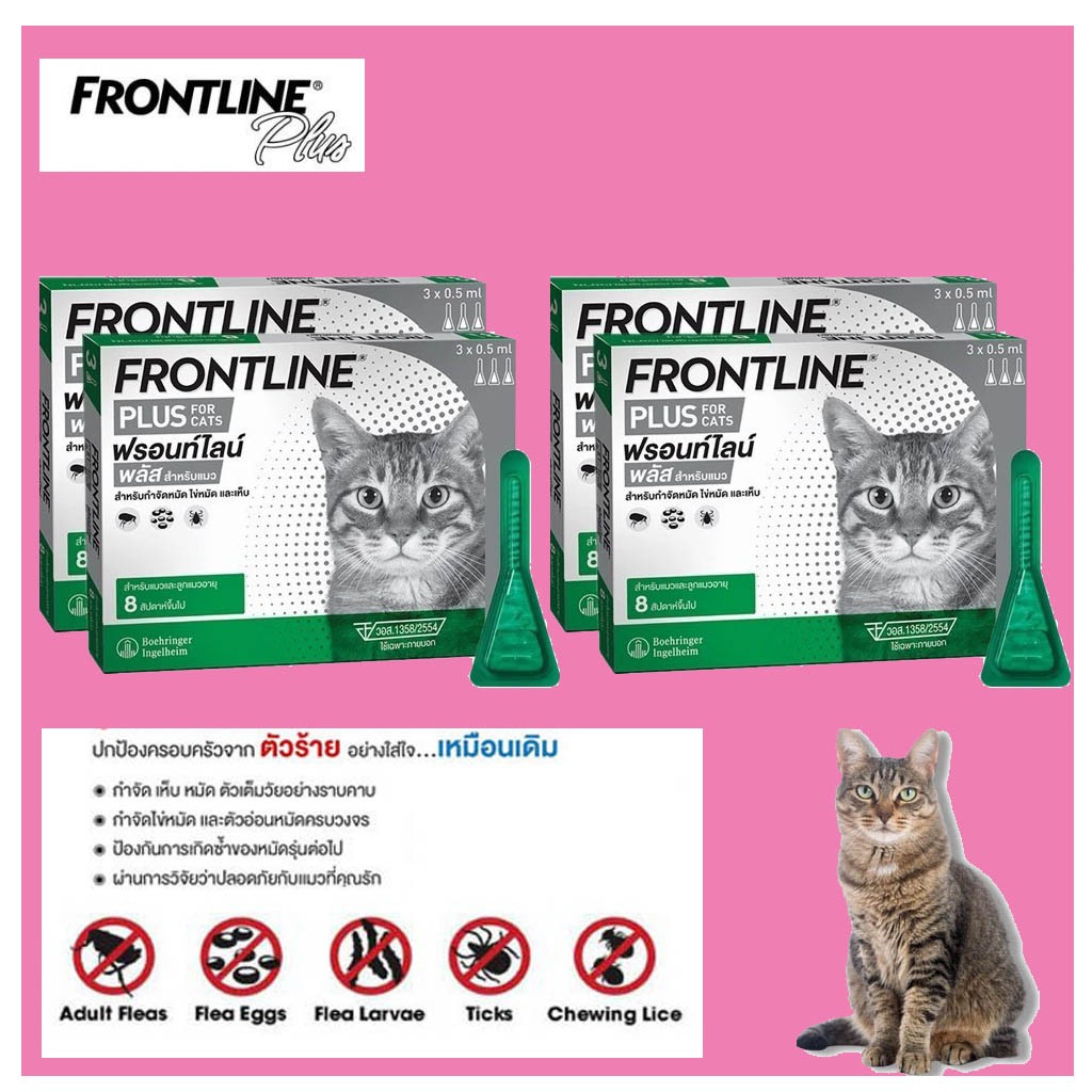 (พร้อมส่ง / ของแท้) แมว Frontline Plus ฟรอนท์ไลน์ พลัส ยาหยอด กำจัดเห็บหมัด เห็บแมว หมัดแมว  broadli