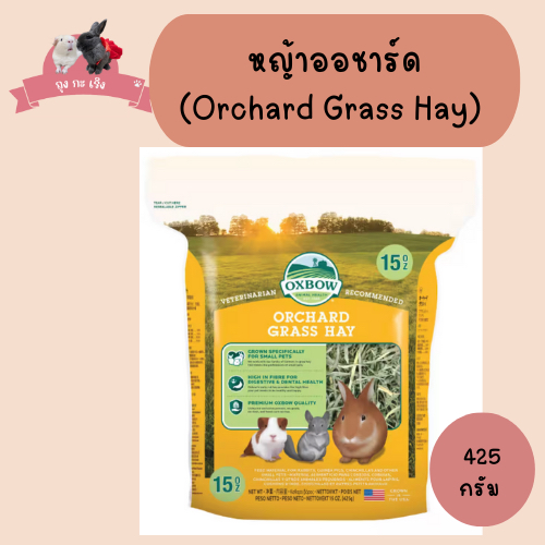 Oxbow หญ้าออชาร์ดสำหรับสัตว์ฟันแทะ