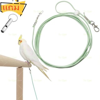 5 เมตร สายจูงนกแบบยืดหยุ่นได้ สายจูงนก แบบยืดหยุ่นได้ เชือกผ…