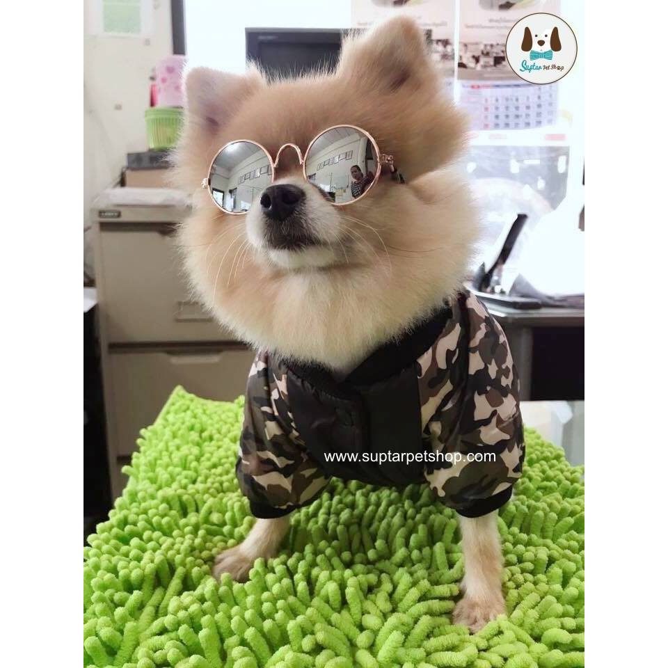 แว่นหมา แว่นแมว แว่นตากันแดดสัตว์เลี้ยง ทรงกลม เหมาะกับ หมาแมว กระต่าย ขนาดเล็ก มีสายรัดให้ฟรี