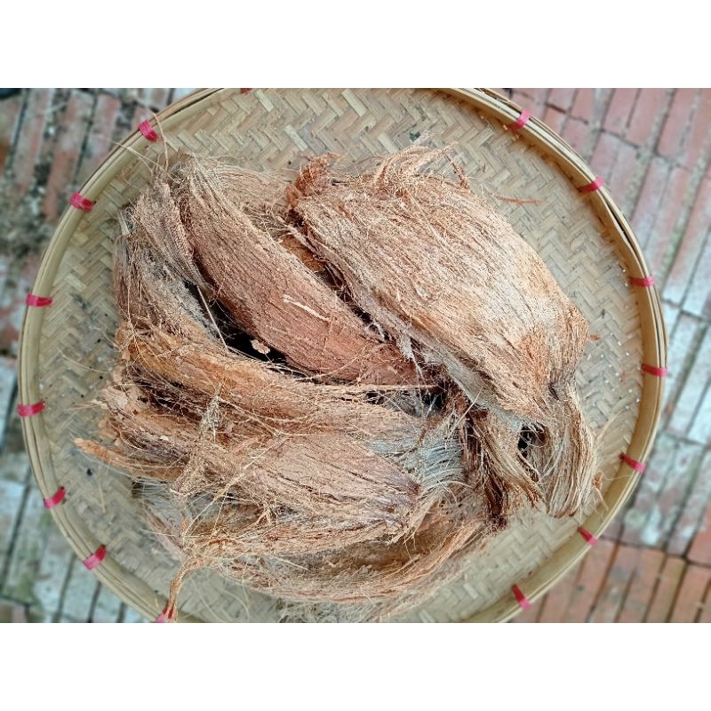 กาบมะพร้าวอ่อน กาบมะพร้าวแห้ง กาบใหญ่ไร้เปลือก สำหรับไม้ประดับ สัปปะรดสี กล้วยไม้ เก็บความชุ่มชื้นช่วยพยุงราก