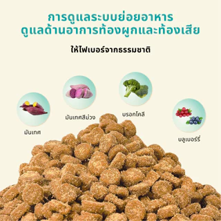 Bite Of Wild B45 แพ็ค 2 กก, อาหารแมวอบช้า ทูน่าแมว Kibbles 45% เนื้อสูง Grain-ฟรี, ลูกแมวที่เหมาะสมและแมวโต