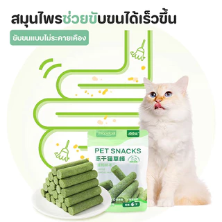 🥇หญ้าแมว🥇หญ้าแมวอัดแท่งหญ้าแมวฟรีซดราย ทำจากต้นอ่อนข้าวสาลีผสมอกไก่และแซลม่อน ขนมแมว ช่วยสำรอกก้อนขน ช่วยขัดฟัน เพื่อกำจ