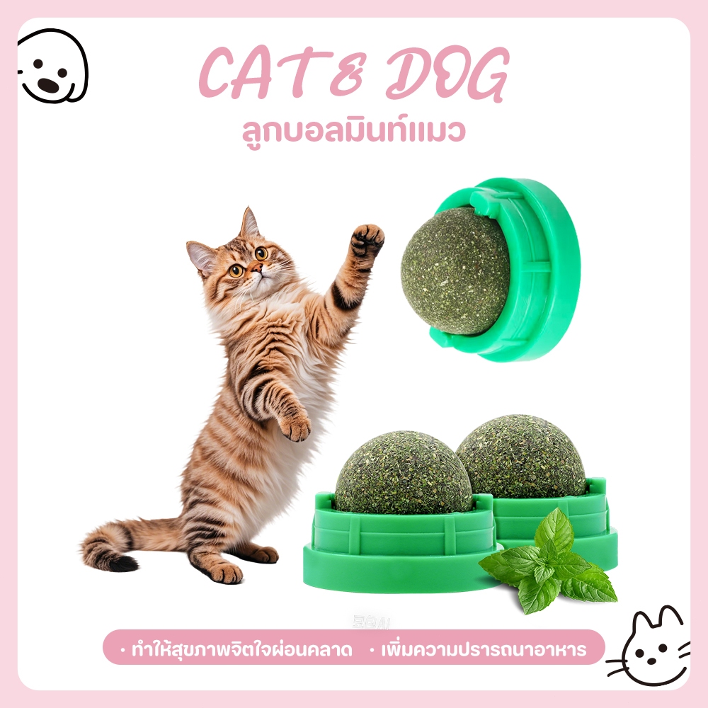 【CAT&DOG】ชิ้นแคทนิปบอล บอลแมวเลีย  แคทนิปแมวเลีย กัญชาแมว ขนมแมวเลีย ของเล่นแมวเลีย