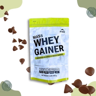 MS MASS WHEY PROTEIN GAINER แมส เวย์ โปรตีน จาก นม รส ช้อกโกแลต