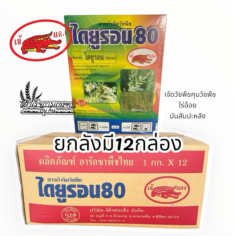 ไดยูรอนwp ตราเข้เเดง คุมวัชพืชในไร่อ้อย มันสัมปะหลัง (ยกลังมี12กล่อง)
