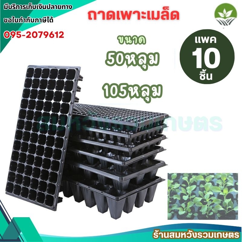 ถาดเพาะกล้า 50หลุม 105หลุม เพาะชำ เมล็ด ต้นอ่อน ไฮโดร 10ชิ้น/ชุด by ลุงสมหวังรวมเกษตร