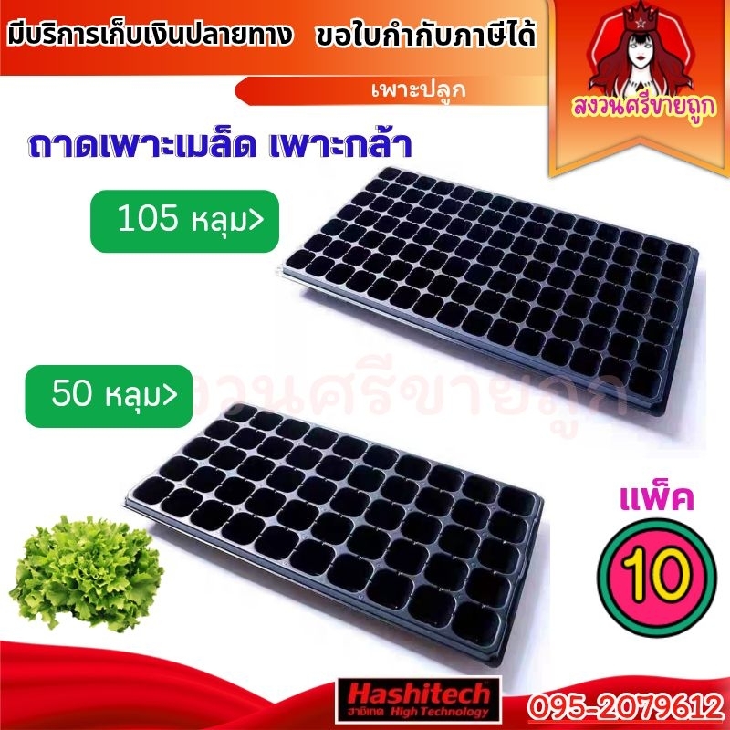10ชิ้น/ชุด ถาดเพาะชำ 50หลุม 105หลุม เพาะกล้า เมล็ด ต้นอ่อน ไฮโดร by สงวนศรีขายถูก