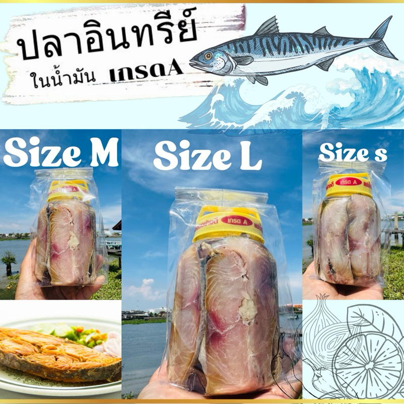 (1กระปุก)ปลาอินทรีในน้ำมัน 3 size เล็ก กลาง ใหญ่ ราคาถูก Shopee Lazada