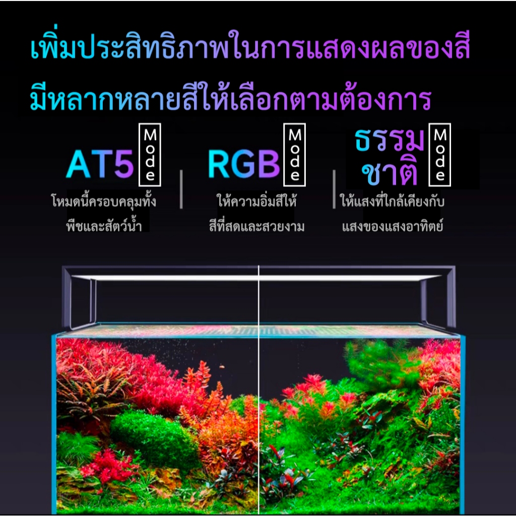 NETLEA AT5S English version หัวปลั๊ก US ประกัน1ปีจากศูนย์