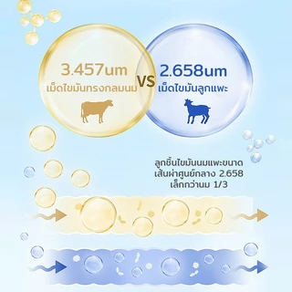 🔥นมผงแกะ🔥เหมาะสำหรับสุนัขและแมว เสริมสร้างสมรรถภาพทางกาย อุดมไปด้วยสารอาหาร ช่วยเติบโต 300g Safe goat milk