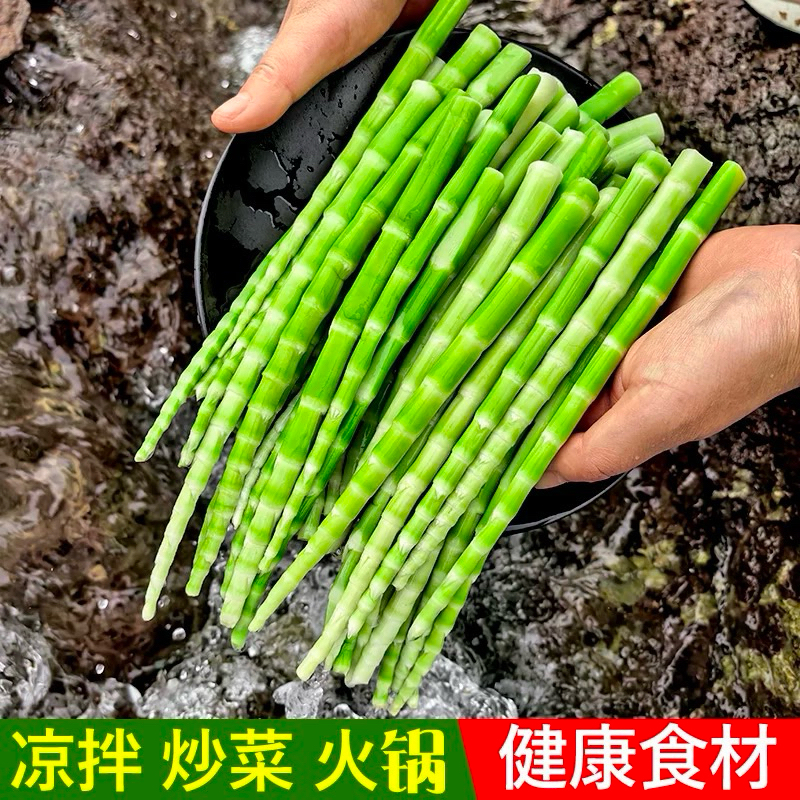 หน่อไม้ดอง พร้อมส่ง ( 翡翠竹、竹笋 ) ขนาด 500g สำหรับประกอบอาหาร กินกับชาบู หม่าล่า ผักหมูฯ เครื่องเคียง หน่อไม้