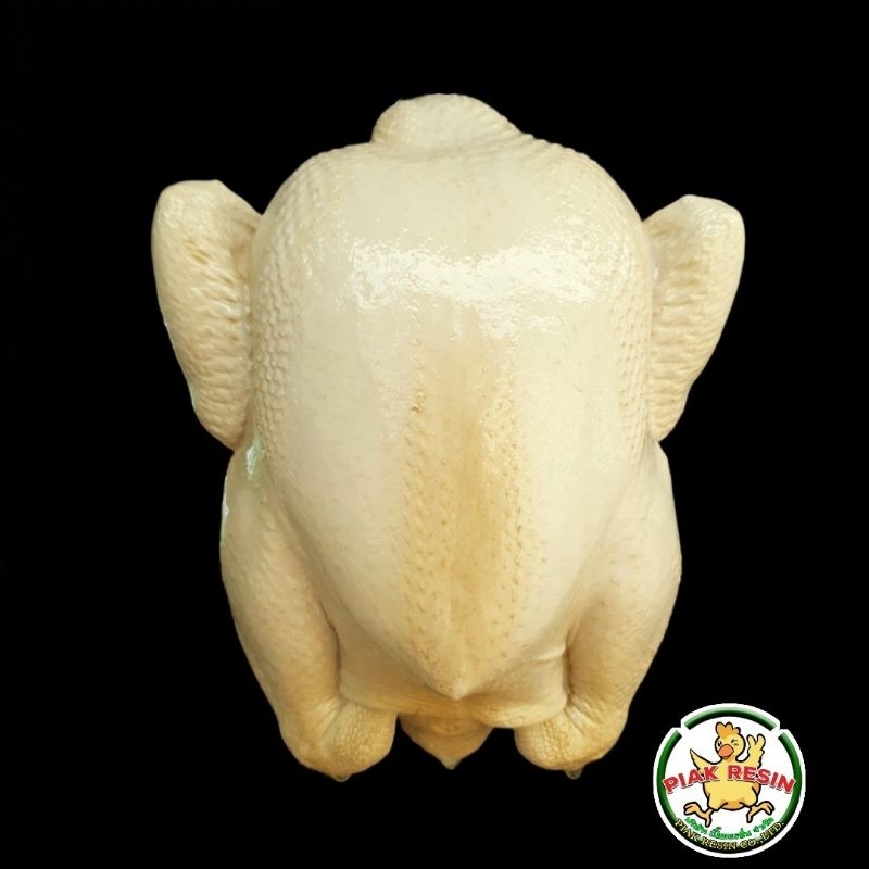 โมเดล ไก่ปลอม ขนาด 1 โล เล็กสุด แบบขาว ตัวละ 525 บาท กว้าง 16 ยาว 22 cm วัดขนาดให้แน่ใจก่อนสั่งซื้อมี 1โลถึง5โล