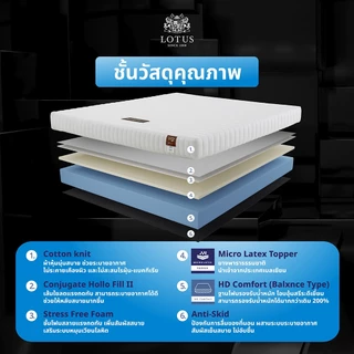 LOTUS ที่นอนยางพารา (สเปคแน่น-นุ่มสบาย) รุ่น Spring Free ส่งฟรี