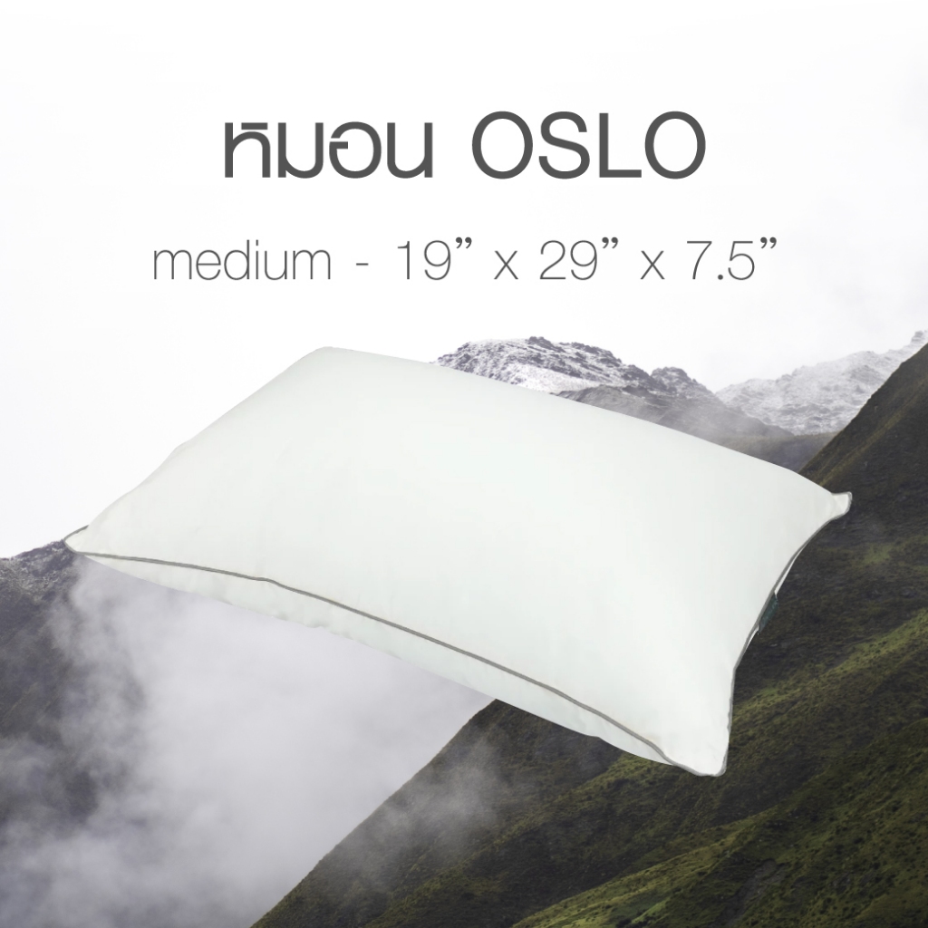 Springmate หมอน OSLO Medium - ส่งฟรี