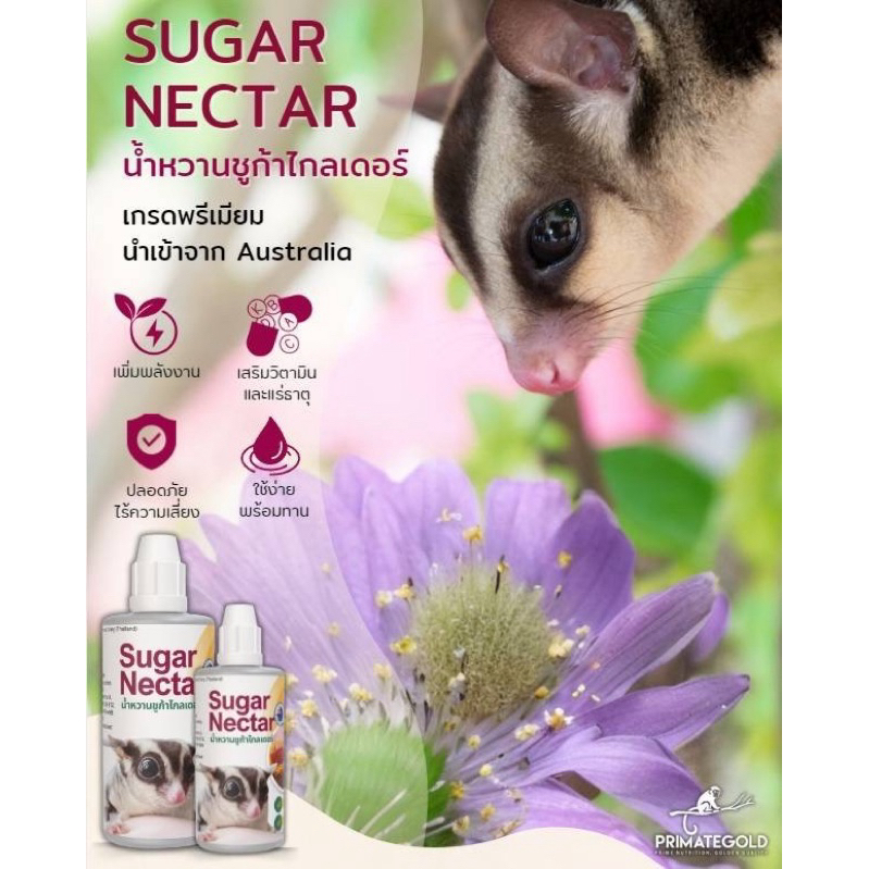 น้ำหวานชูการ์ไกลเดอร์ บุชเบบี้ มาโมเสท ฯลฯ