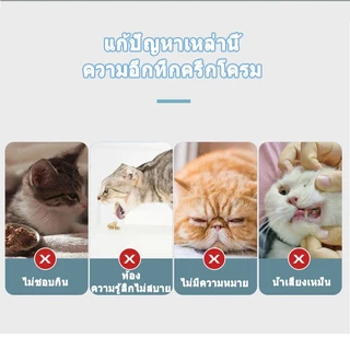 แมวเลีย 😻 หญ้าแมว กันชาแมว กัญชาเเมว แคทนิปแมว catnip ball กันชาแมวส่งฟรี กัชชาแมว กันชาแมวเลีย แคทนิปบอล ติดกำแพง แมว