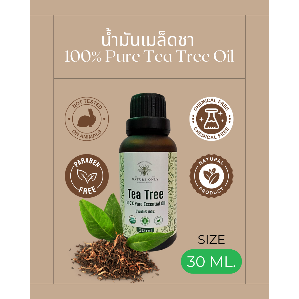น้ำมันเมล็ดชา หรือ น้ำมัน ทีทรีออย (Tea Tree Oil) 100% PURE ESSETIAL OIL ขนาด 30 มล.