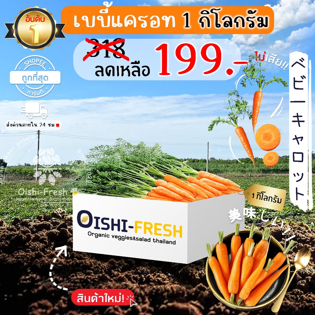 Oishi-Fresh เบบี้แครอท ปลอดสารพิษ 1 กก. รสชาติกรอบ สด ใหม่ ใยอาหารสูง หวานออร์แกนิค เคลมได้ 1-2 วัน