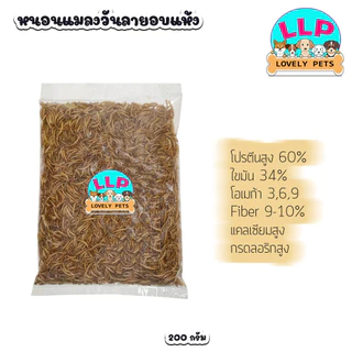 [LLP] หนอนนกอบแห้ง 100g 200g 500g ขนมสำหรับสัตว์เลี้ยงแฮมเตอร์ ชูก้าไรเดอร นก ปลา
