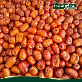 พุทราจีนแห้ง Dried Jujube ตรา กอเงินฟาร์ม ขนาด 500 กรัม ไร้เมล็ด รสชาติหวาน กินง่าย ทำขนมหวาน