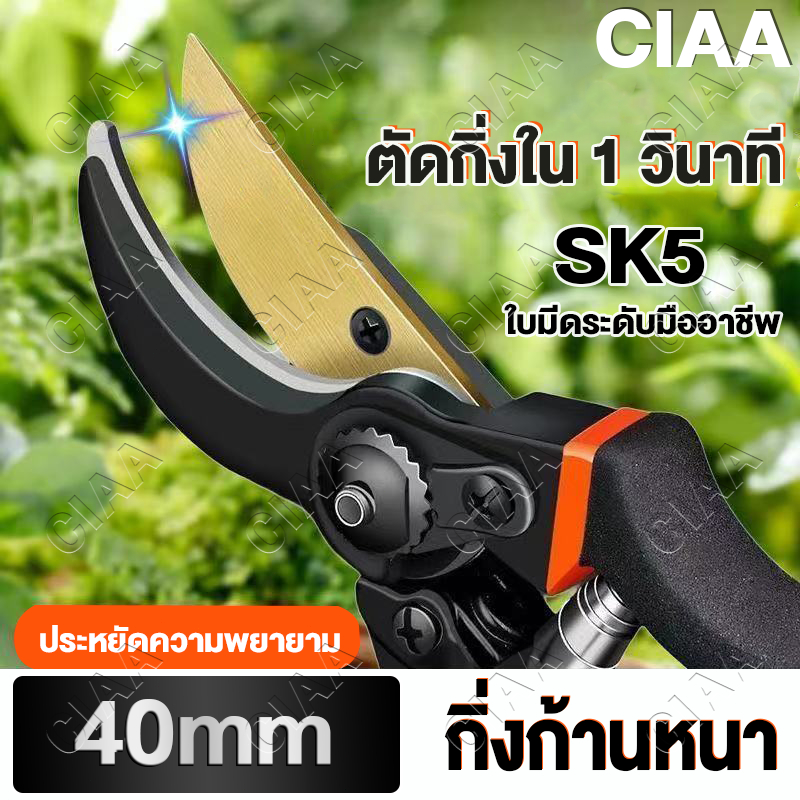 เหล็กอัลลอย SK5 กรรไกรตัดกิ่งไม้ ประหยัดแรงงานกันไกรตัดกิ่ง คม ทน กรรไกรแต่งกิ่ง คีมตัดกิ่ กรรไกรตัดหญ้า