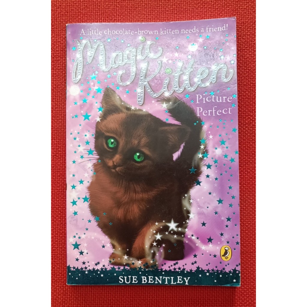 🌟 Magic Kitten 😺 Picture Perfect