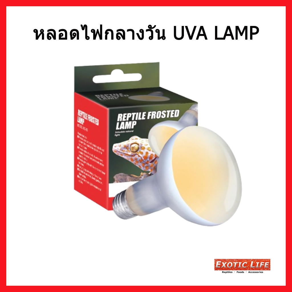 หลอดไฟ UVA หลอดไฟกลางวัน ให้ความร้อนความอบอุ่นและแสงสว่างกับสัตว์เลี้ยง ของแท้ Nomoy Pet Daylight UV