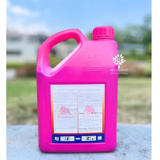 ไฟท์ติ้ง - กลูโฟซิเนตแอมโมเนียม (สูตรเผาไหม้เร็ว) - ขนาด 4 ลิตร สินค้าผลิตใหม่ ของแท้แน่นอน 💯