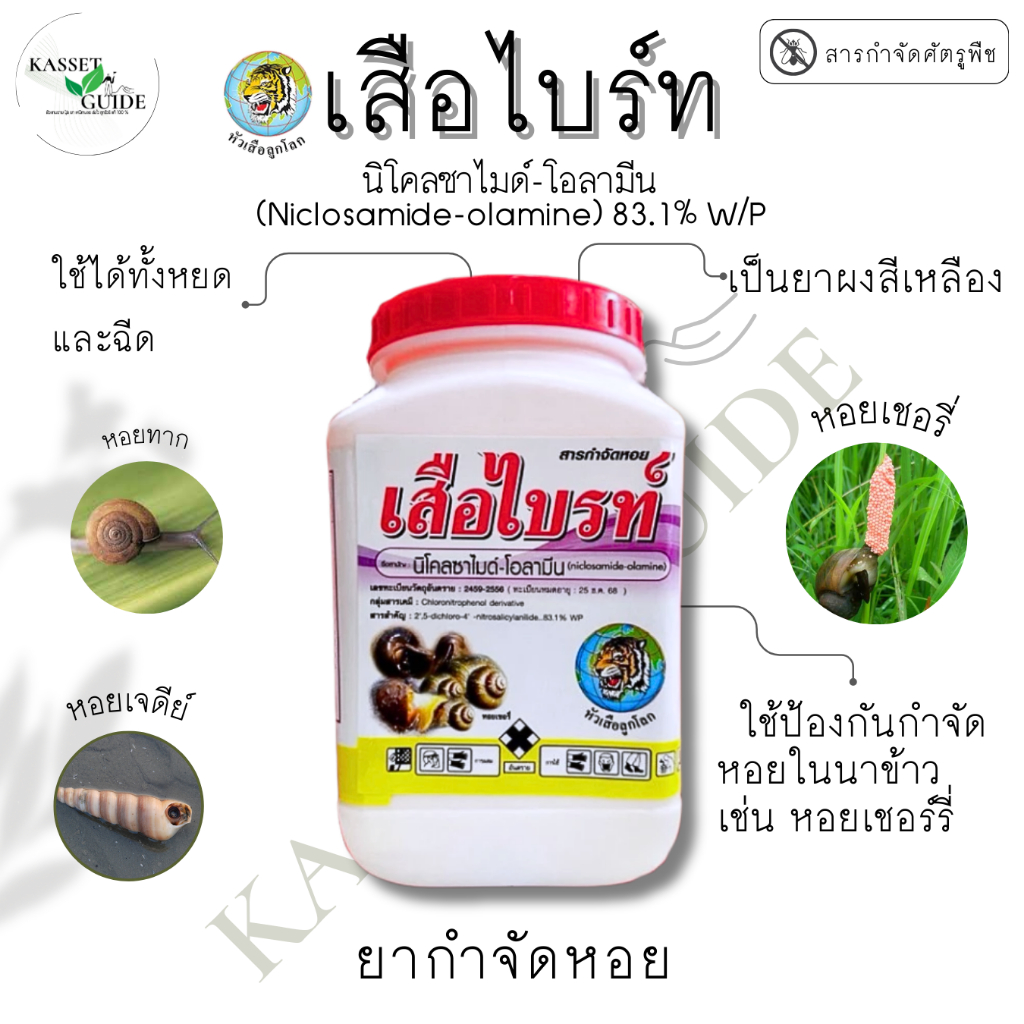 เสือไบรท์ ยาเหลืองหยดหอย 500กรัม กำจัดหอย หอยเชอรี่ หอยทาก หอยเจดีย์ ในนาข้าว
