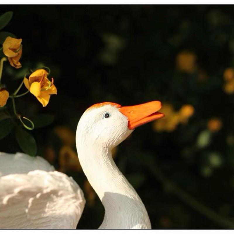 Decorative garden duck pond  อ่างเป็ดตกแต่งสวน  เพิ่มชีวิตชีวาให้สวนของคุณ ด้วยเป็ดตัวจิ๋วสุดน่ารัก  . ราคา ถูกที่สุด ดีลบีเคเค แกลเลอรีภาพที่ 4